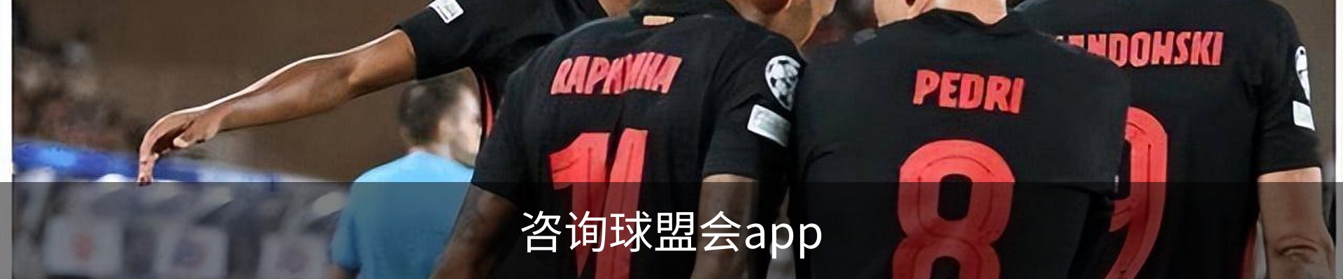 咨询球盟会app
